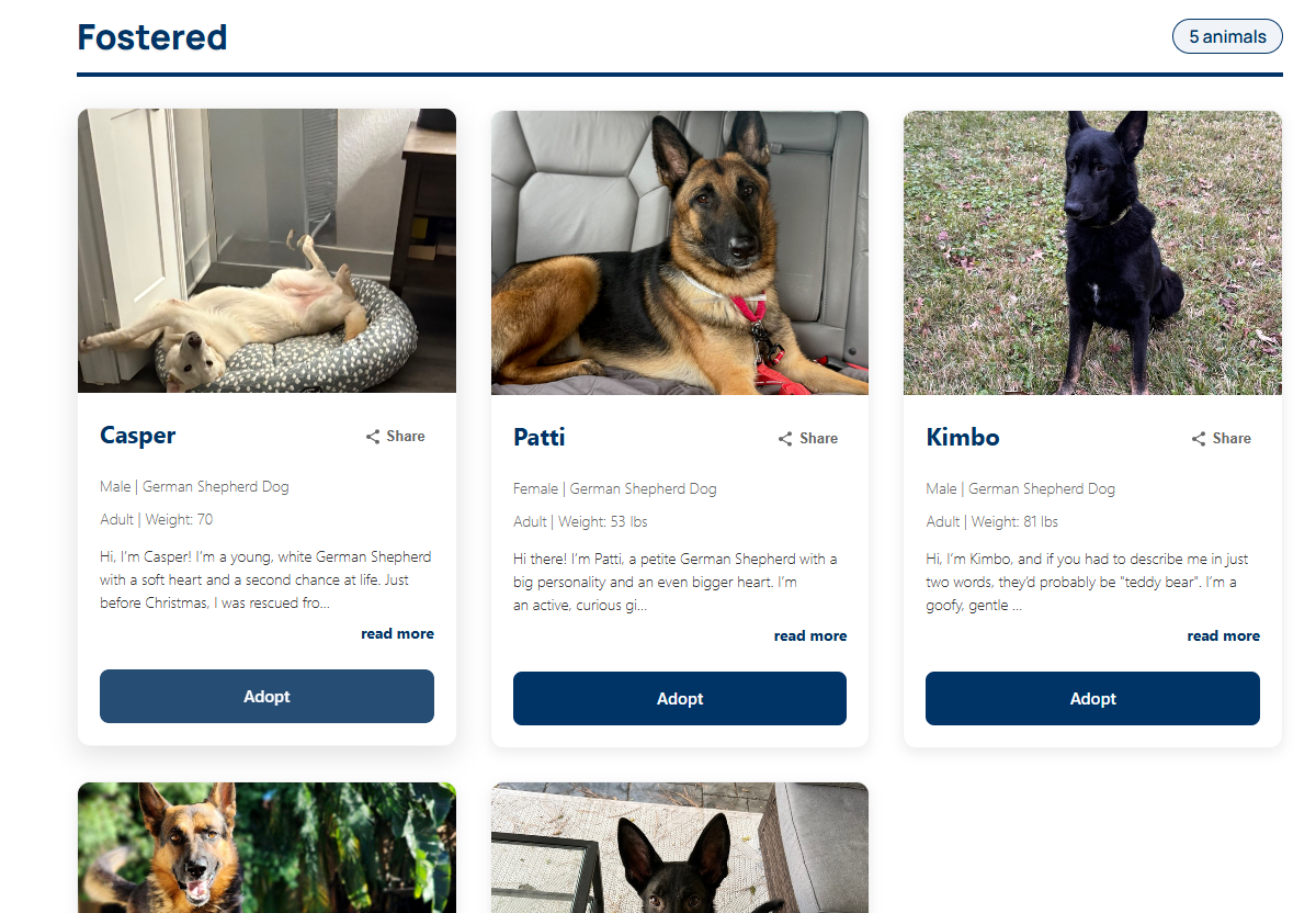 After RescueSync: beautiful native WordPress animal cards